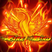 afun apostas esportivas paga mesmo