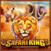 casas de apostas renata fan