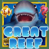 federal bets apostas