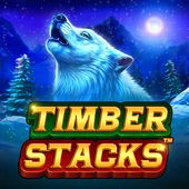 esporte net apostas online